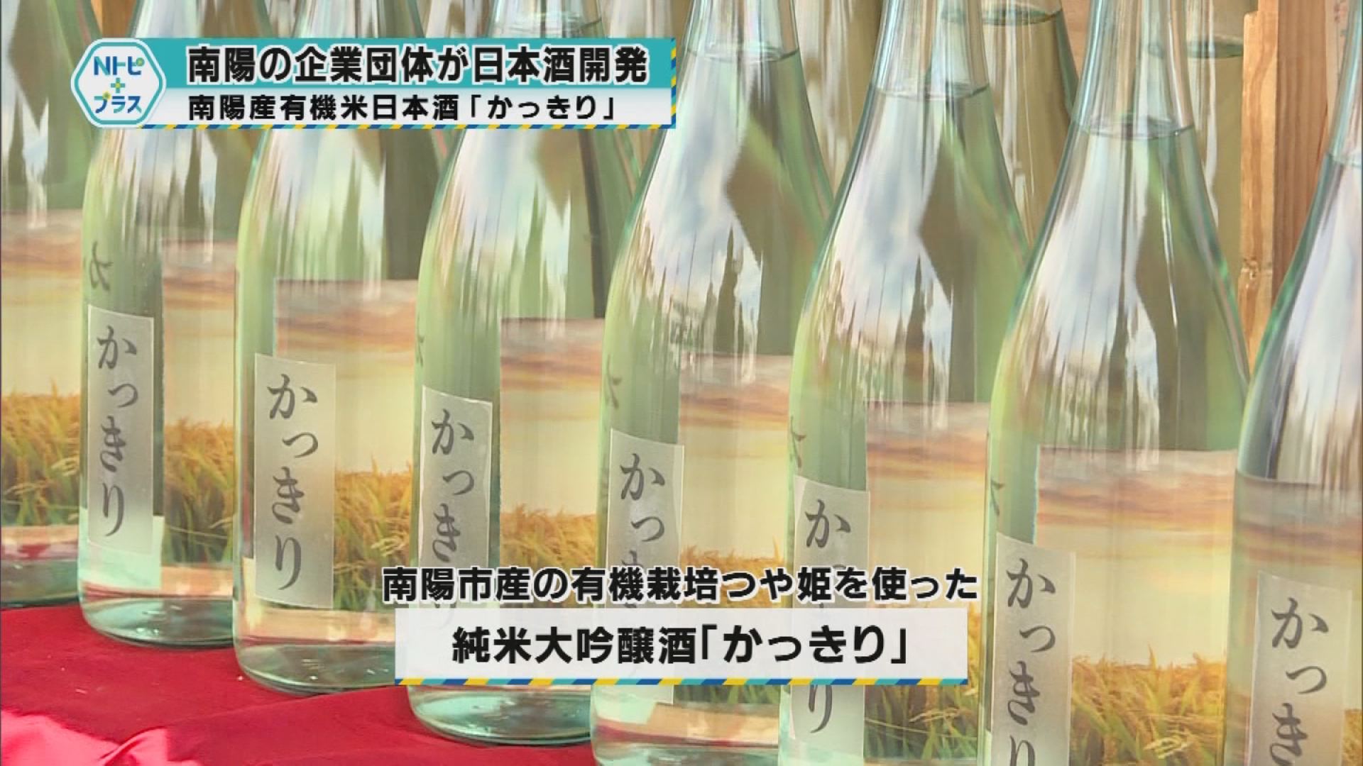 「南陽市の企業団体が日本酒開発」南陽産有機米日本酒「かっきり」