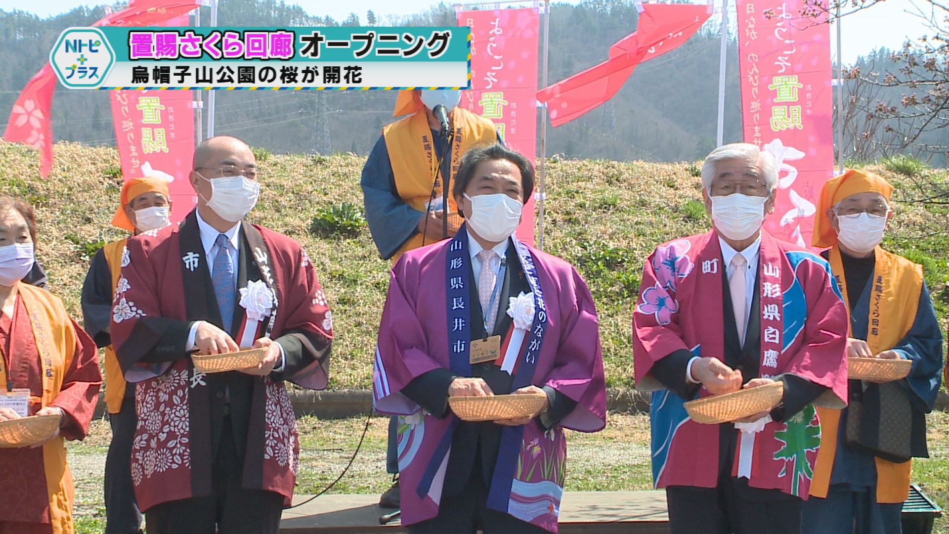 「置賜さくら回廊オープニング」烏帽子山公園の桜が開花