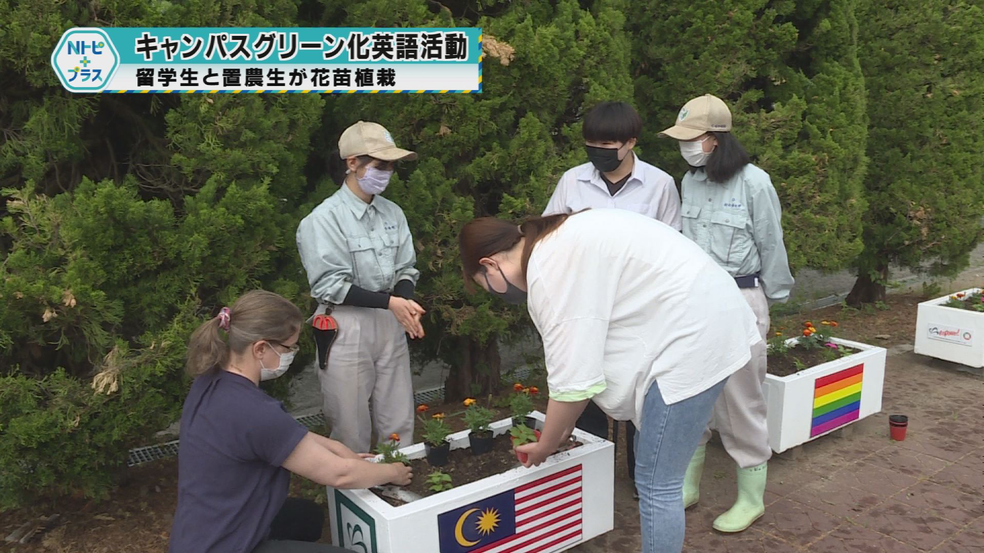 「キャンパスグリーン化英語活動」留学生と置農生が花苗植栽