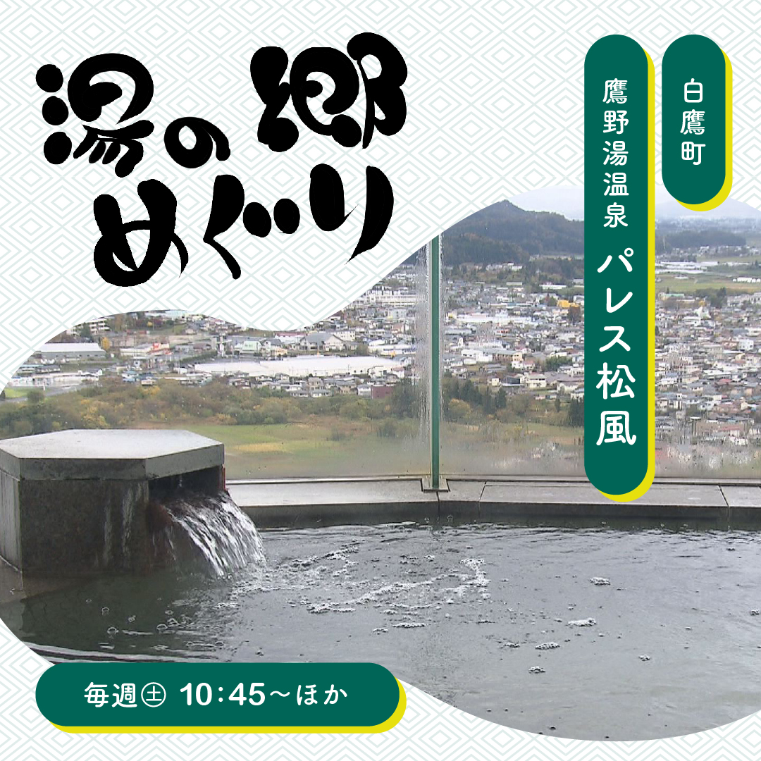 NCVチャンネル