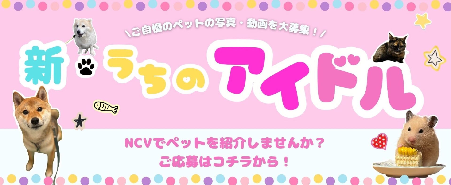 NCVチャンネル