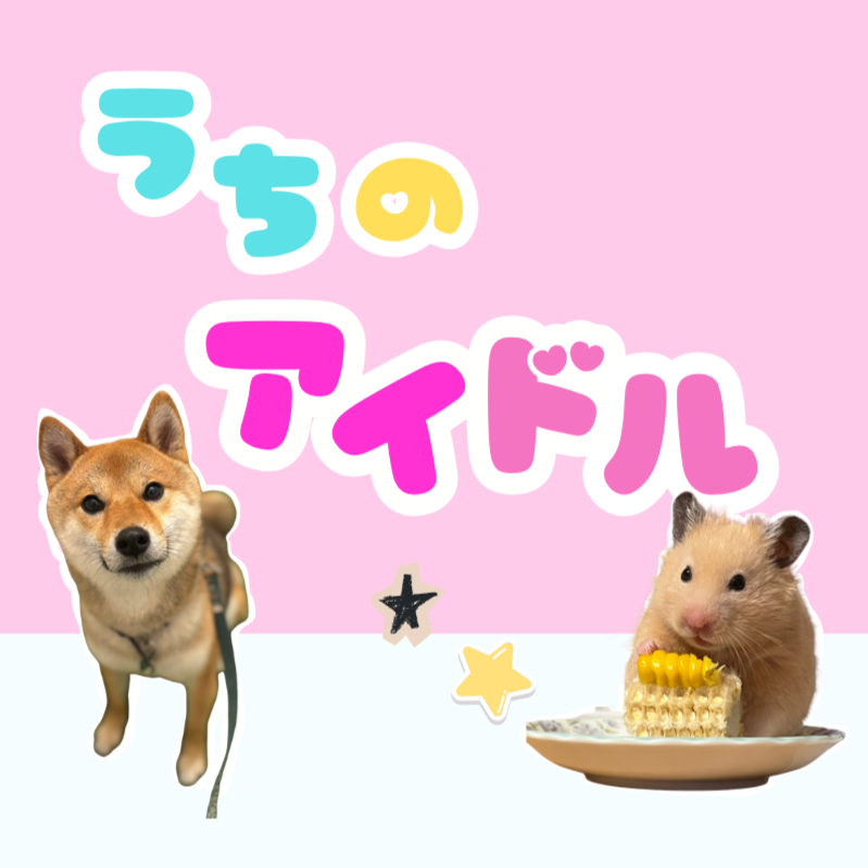 NCVチャンネル