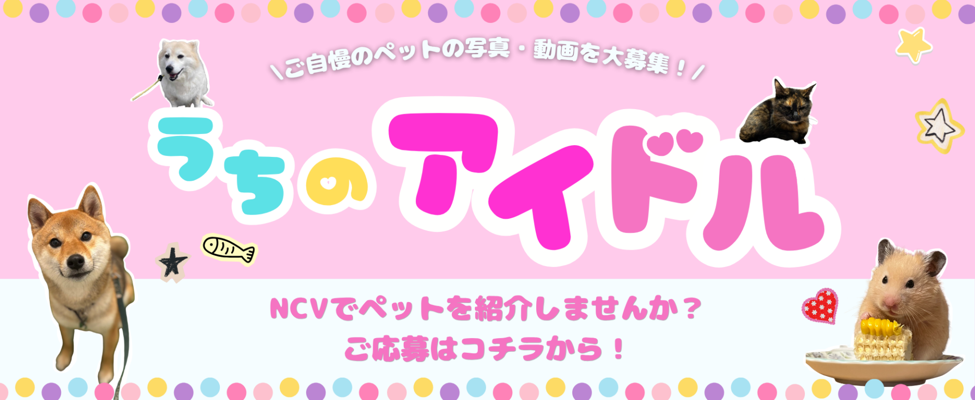 NCVチャンネル