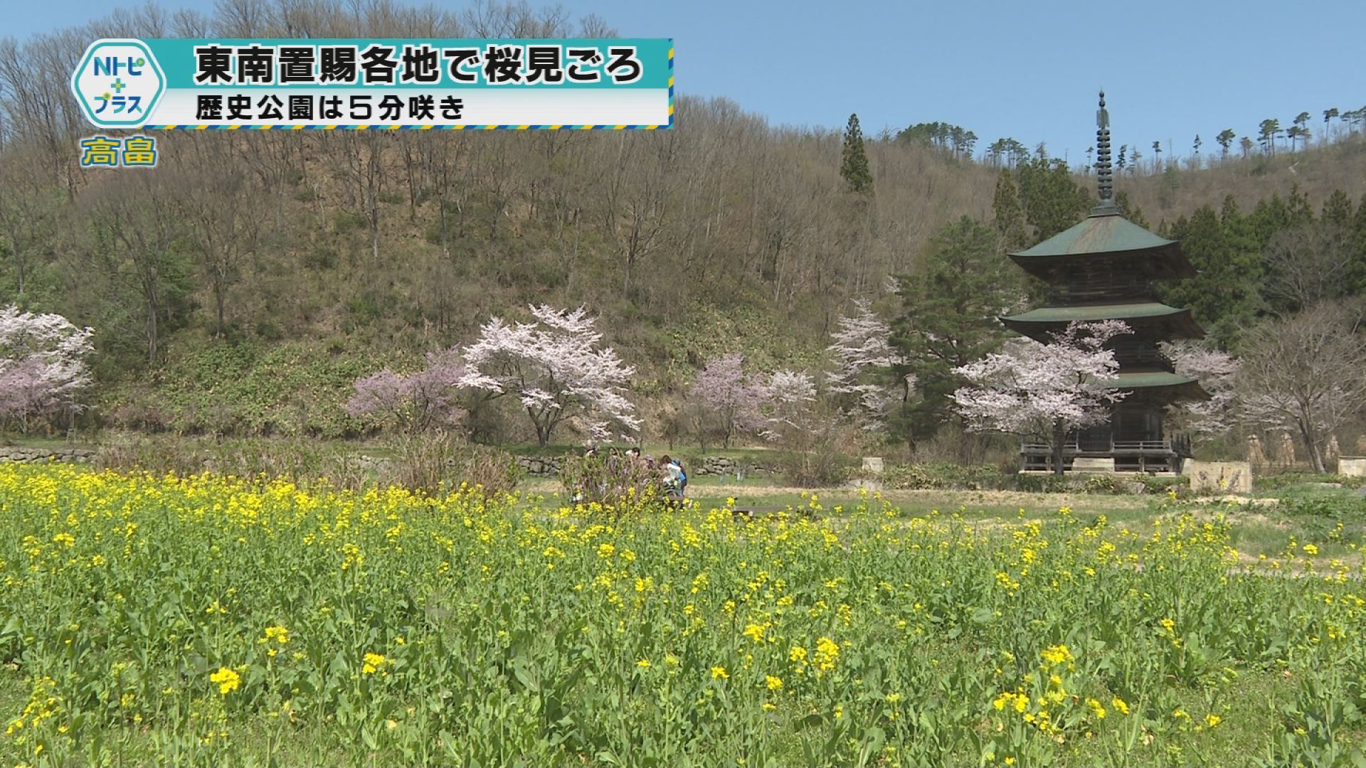 2025年4月21日Nトピ＋プラスNEWS