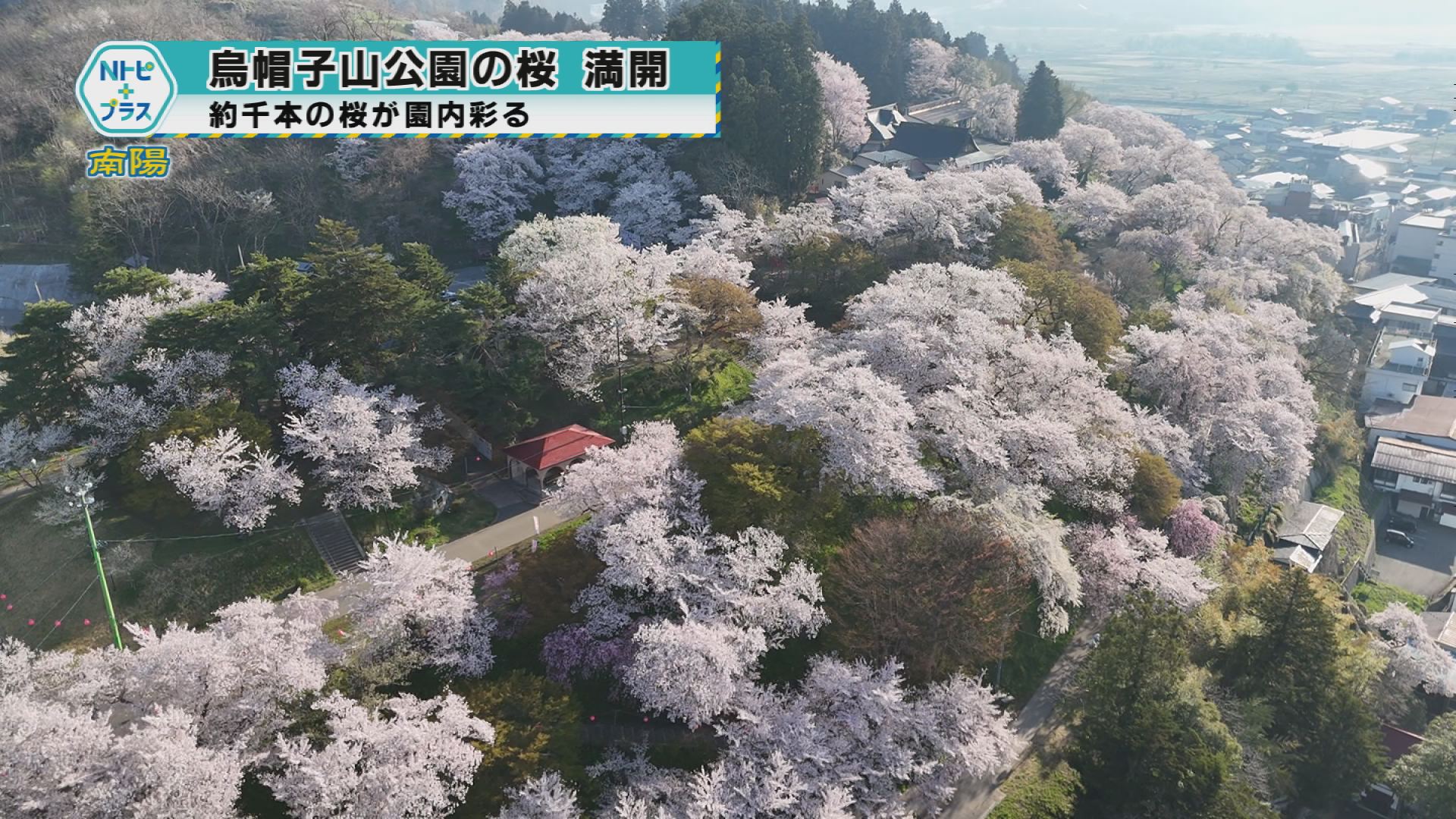 2025年4月22日Nトピ＋プラスNEWS