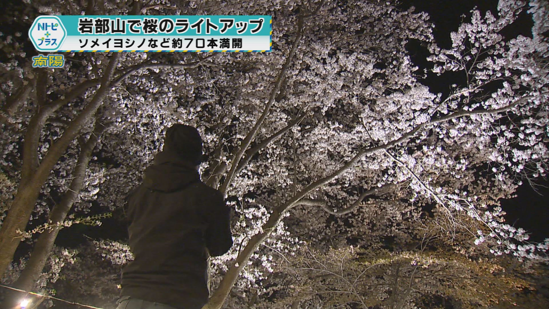2025年4月23日Nトピ＋プラスNEWS
