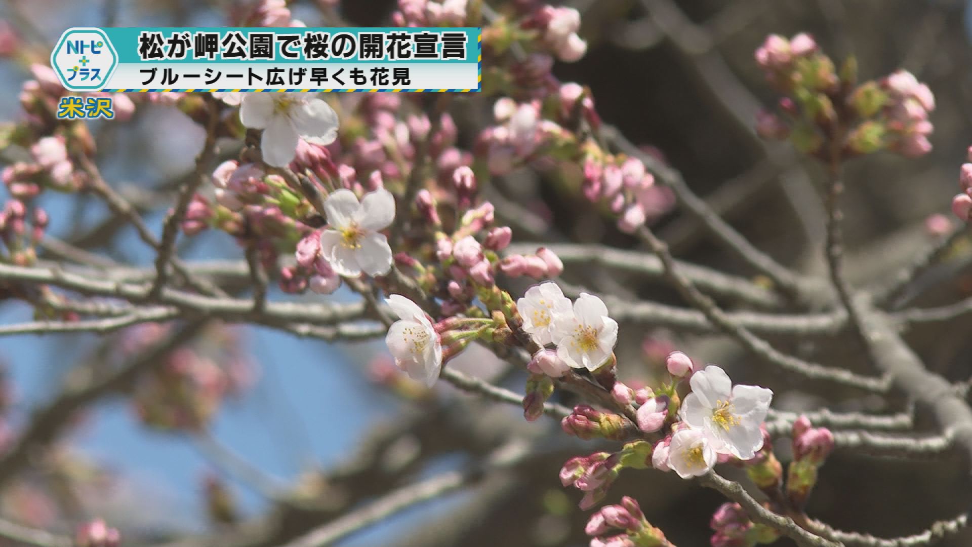2025年4月17日Nトピ＋プラスNEWS