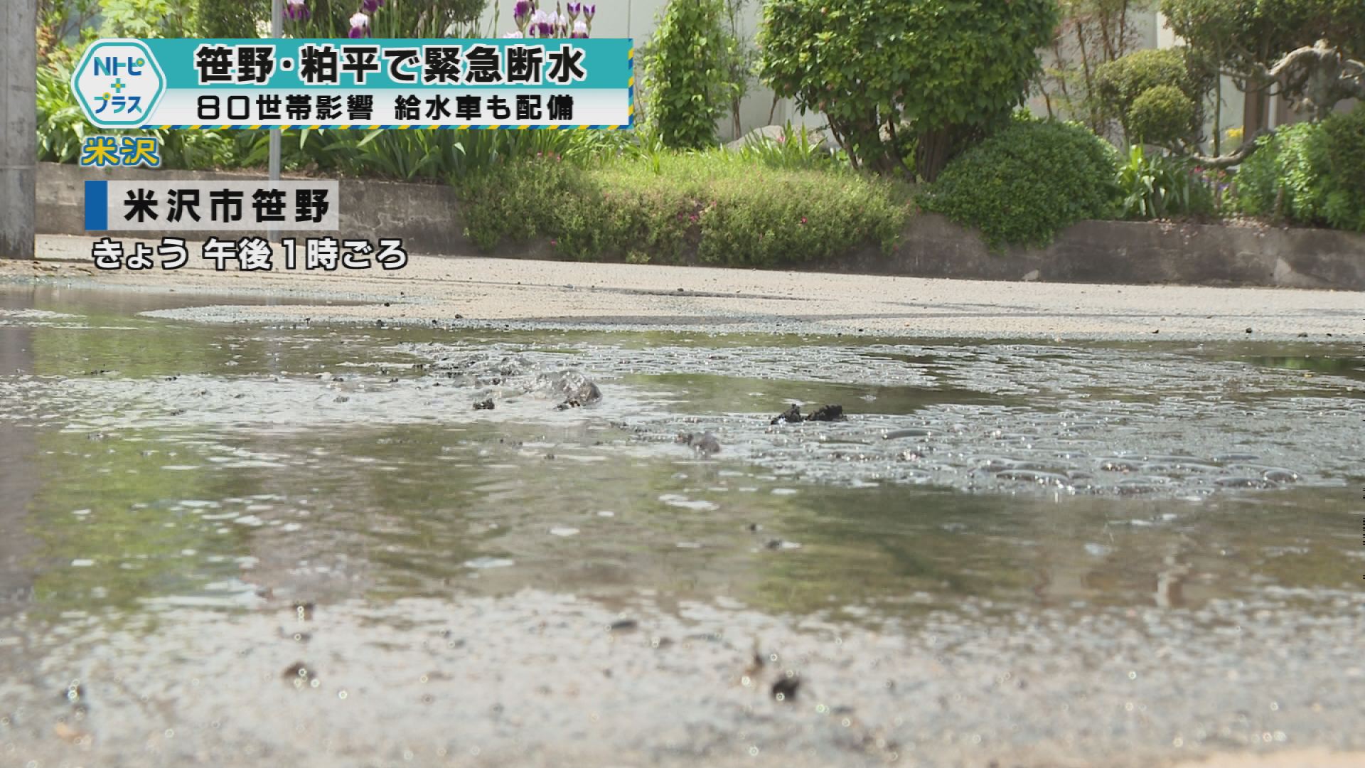 2025年5月27日Nトピ+プラスNEWS