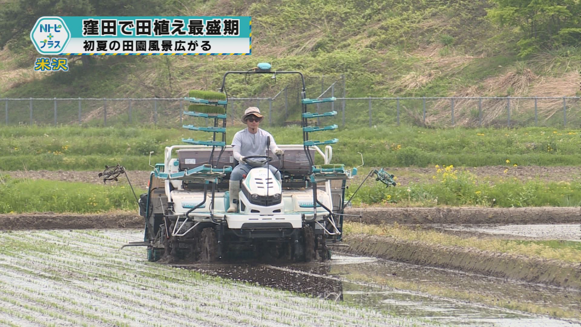 2025年5月14日Nトピ+プラスNEWS