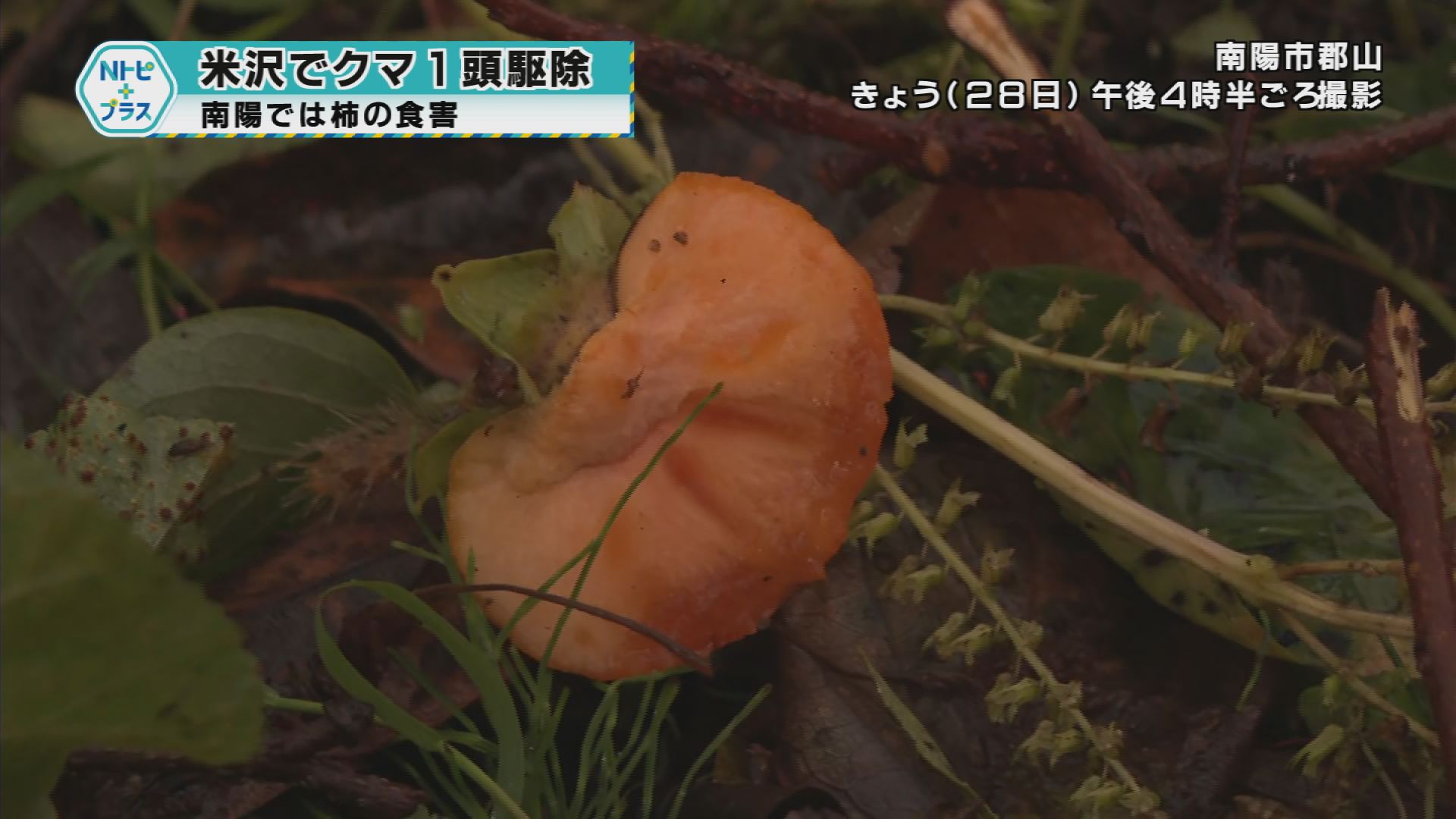 2025年10月28日Nトピ+プラスNEWS