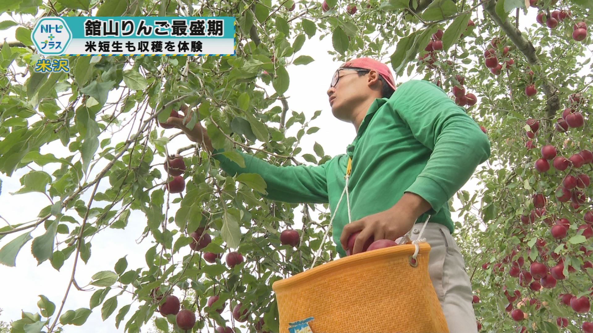 2025年10月9日Nトピ+プラスNEWS