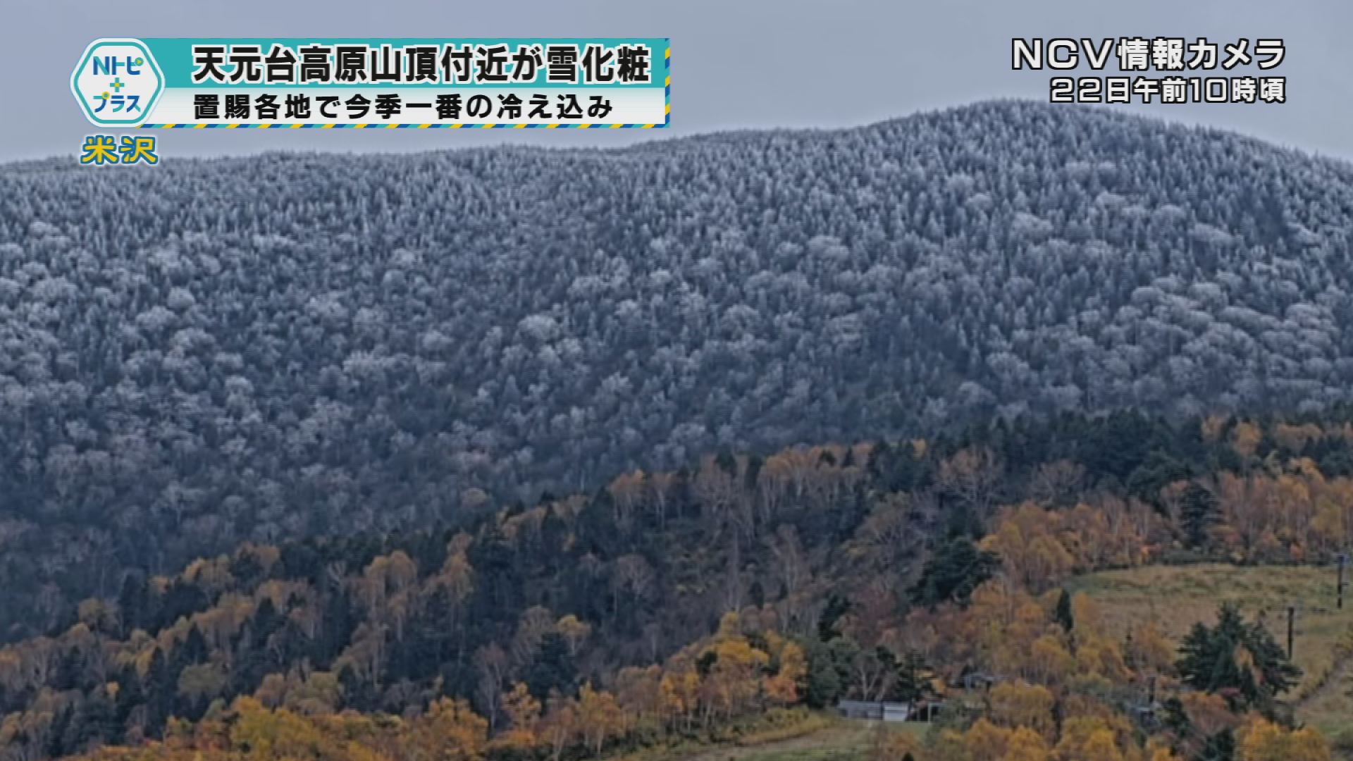 2025年10月22日Nトピ+プラスNEWS