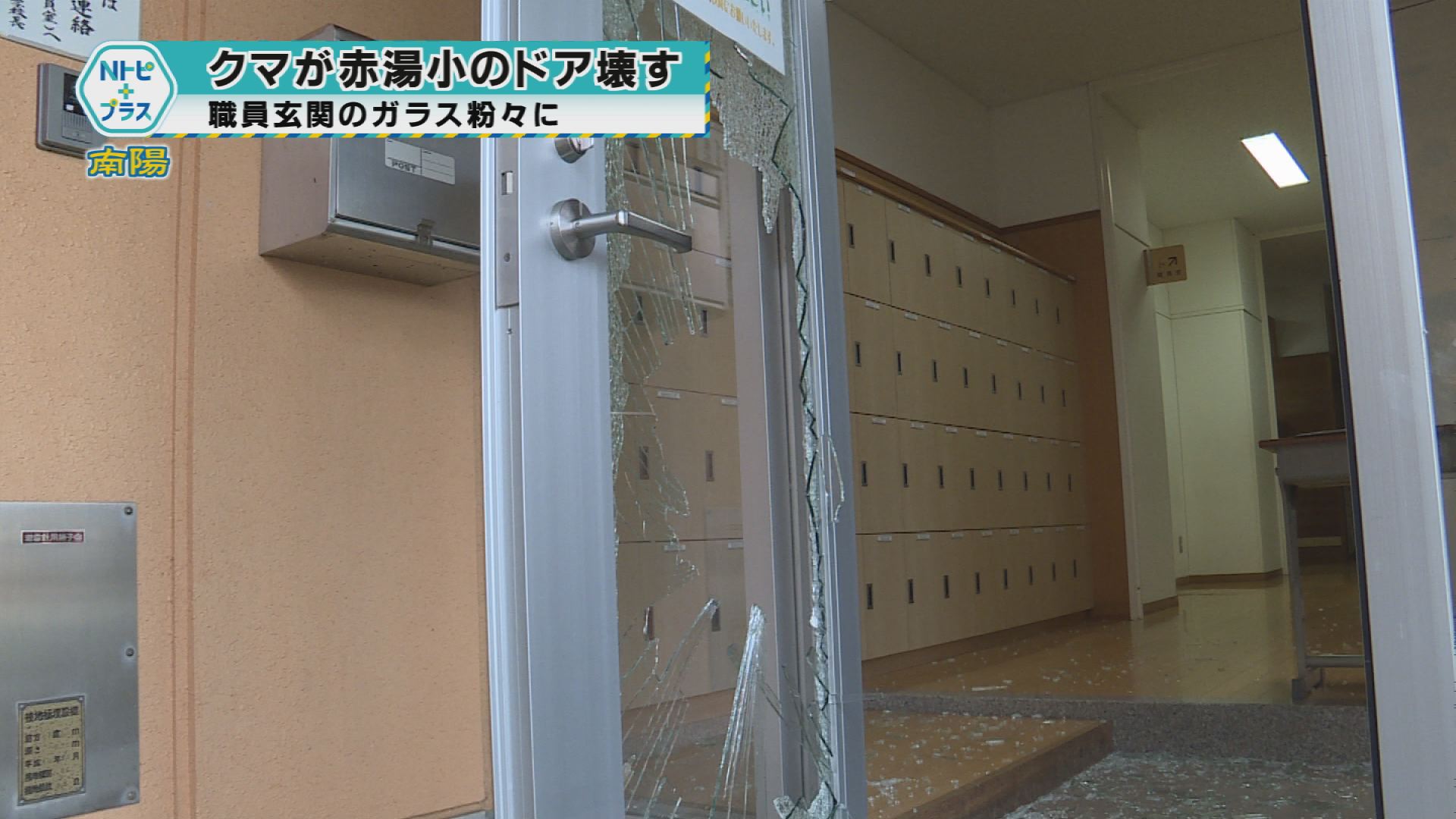 2025年10月29日Nトピ+プラスNEWS