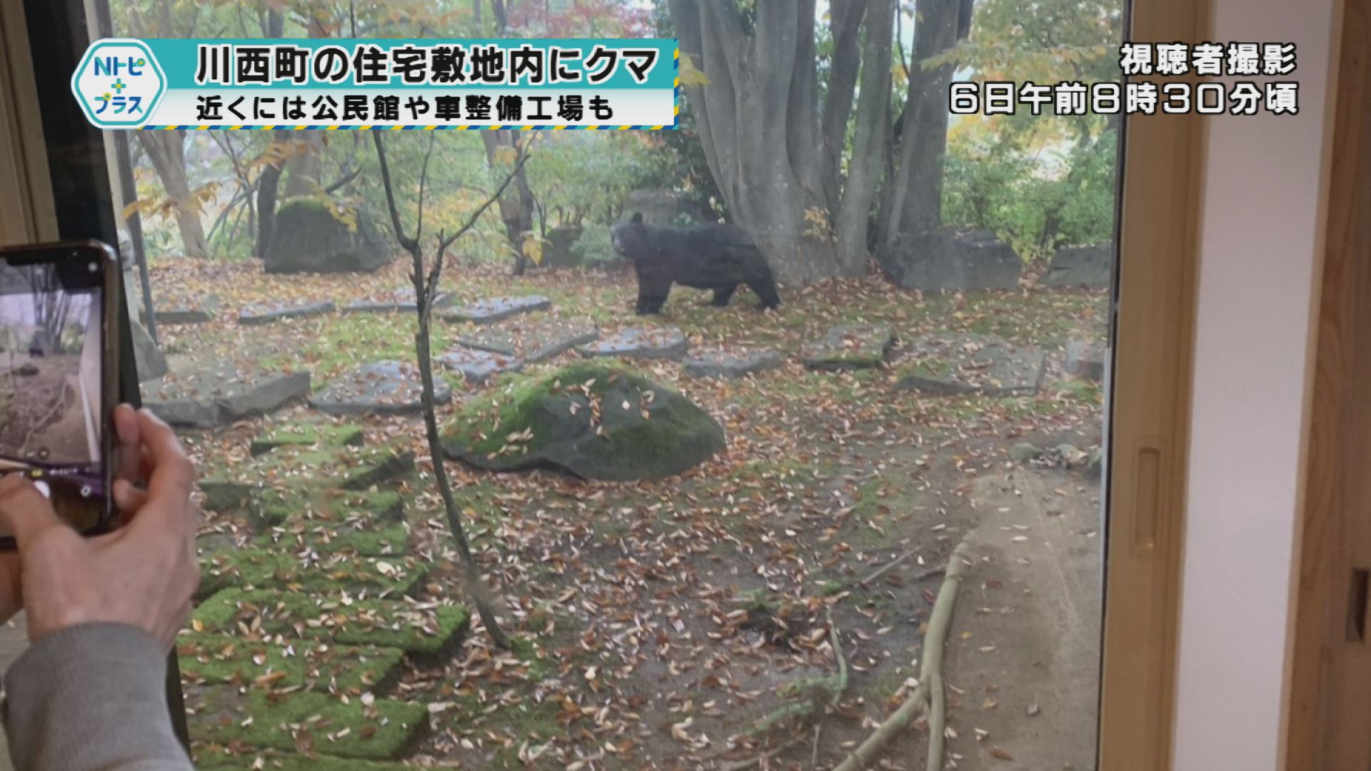 2025年11月6日Nトピ+プラスNEWS