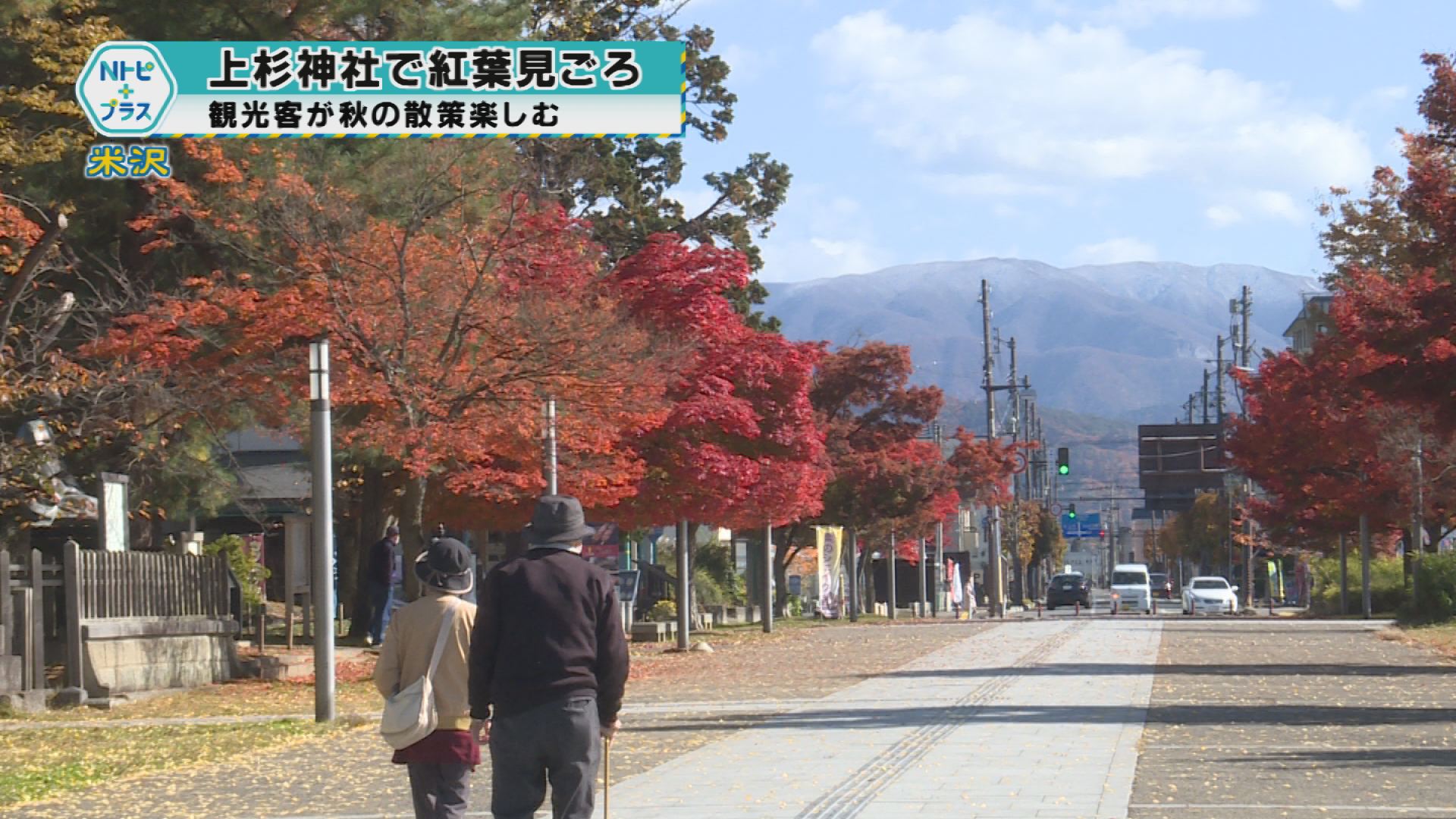 2025年11月12日Nトピ+プラスNEWS