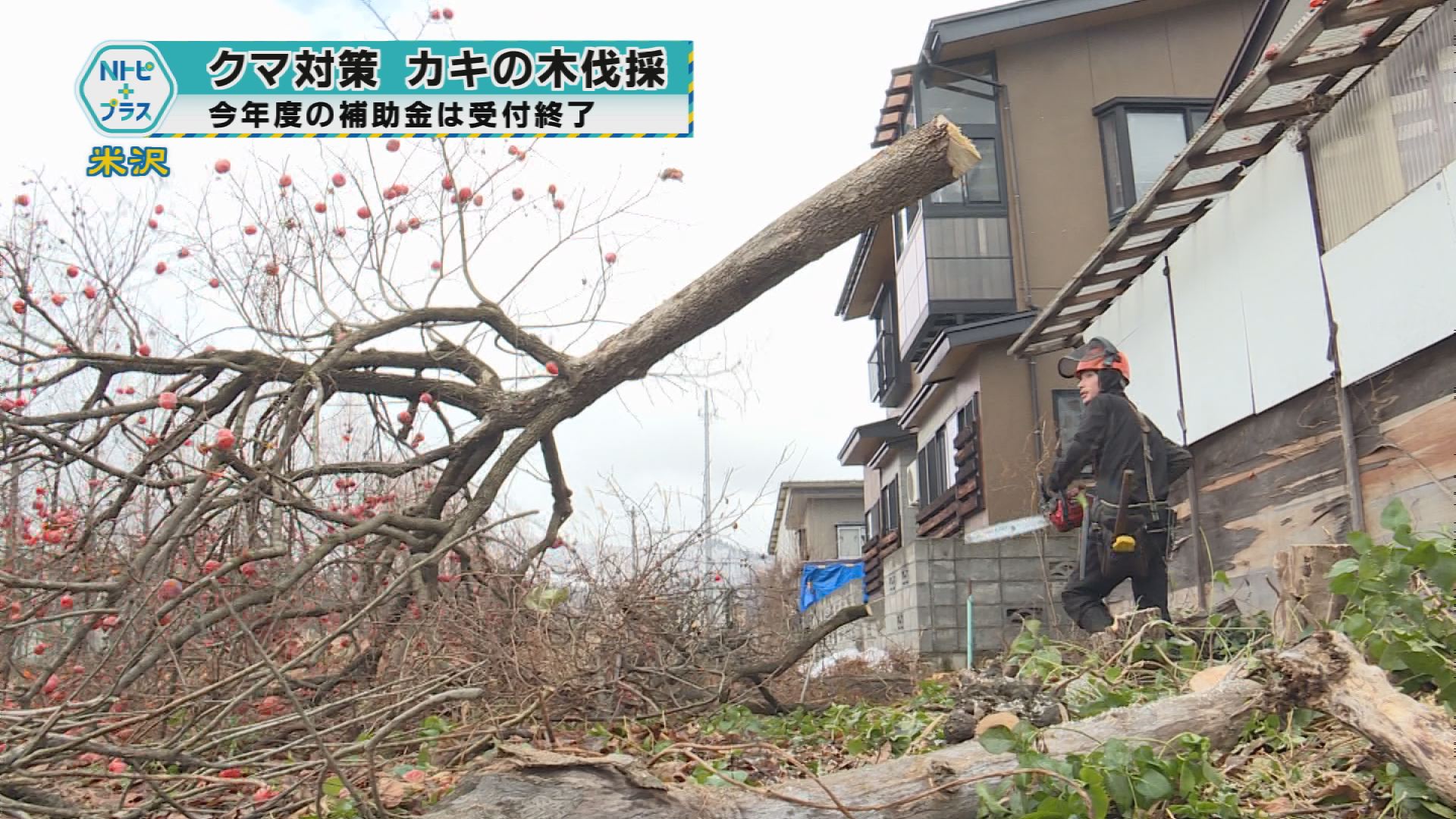 2025年12月18日Nトピ+プラスNEWS