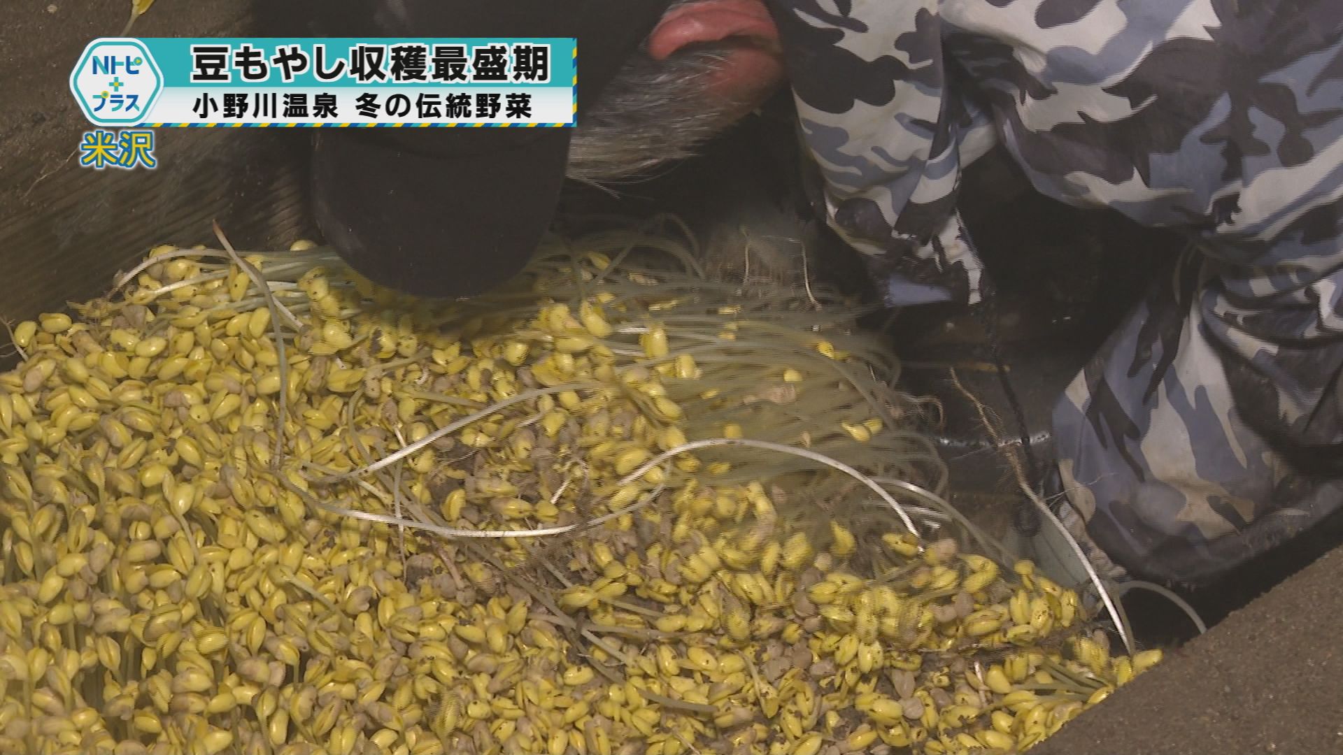 2026年1月23日Nトピ+プラスNEWS