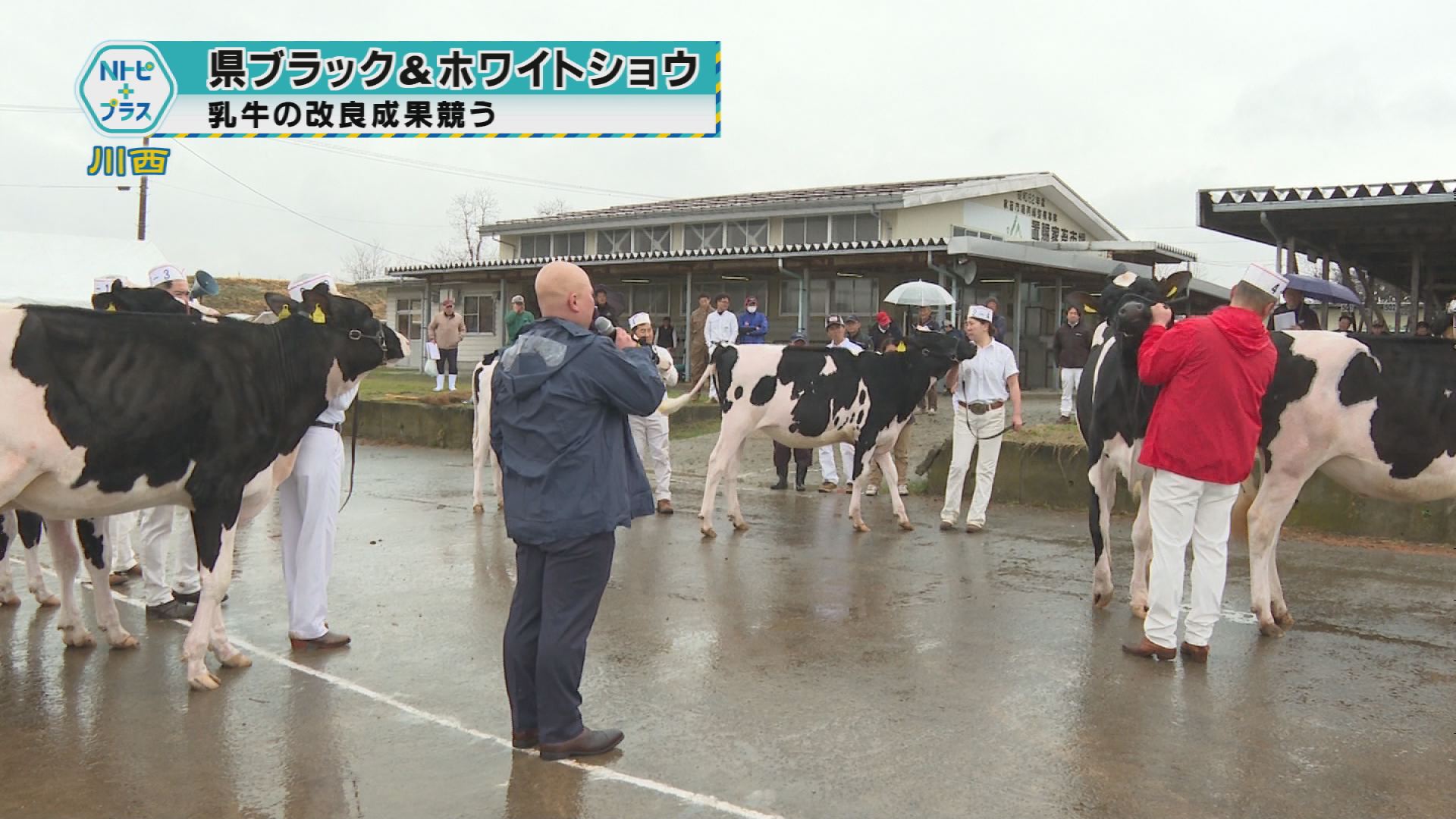 2026年3月26日Nトピ+プラスNEWS