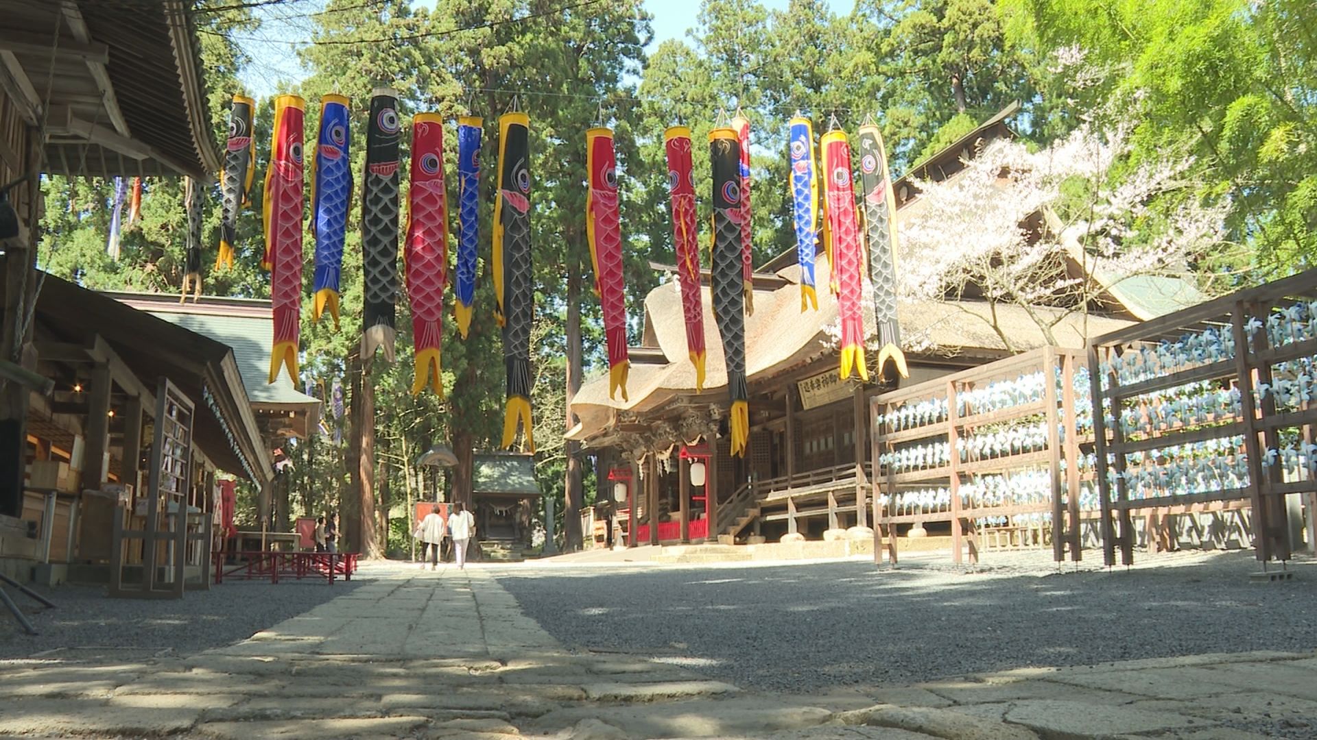 2026年4月17日みんなのNトピ