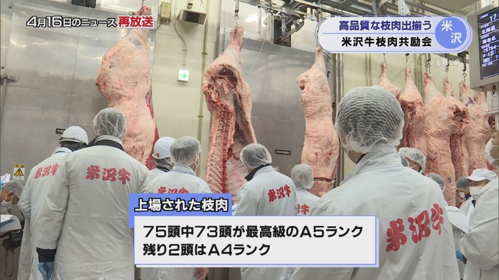 2026年4月16日みんなのNトピ