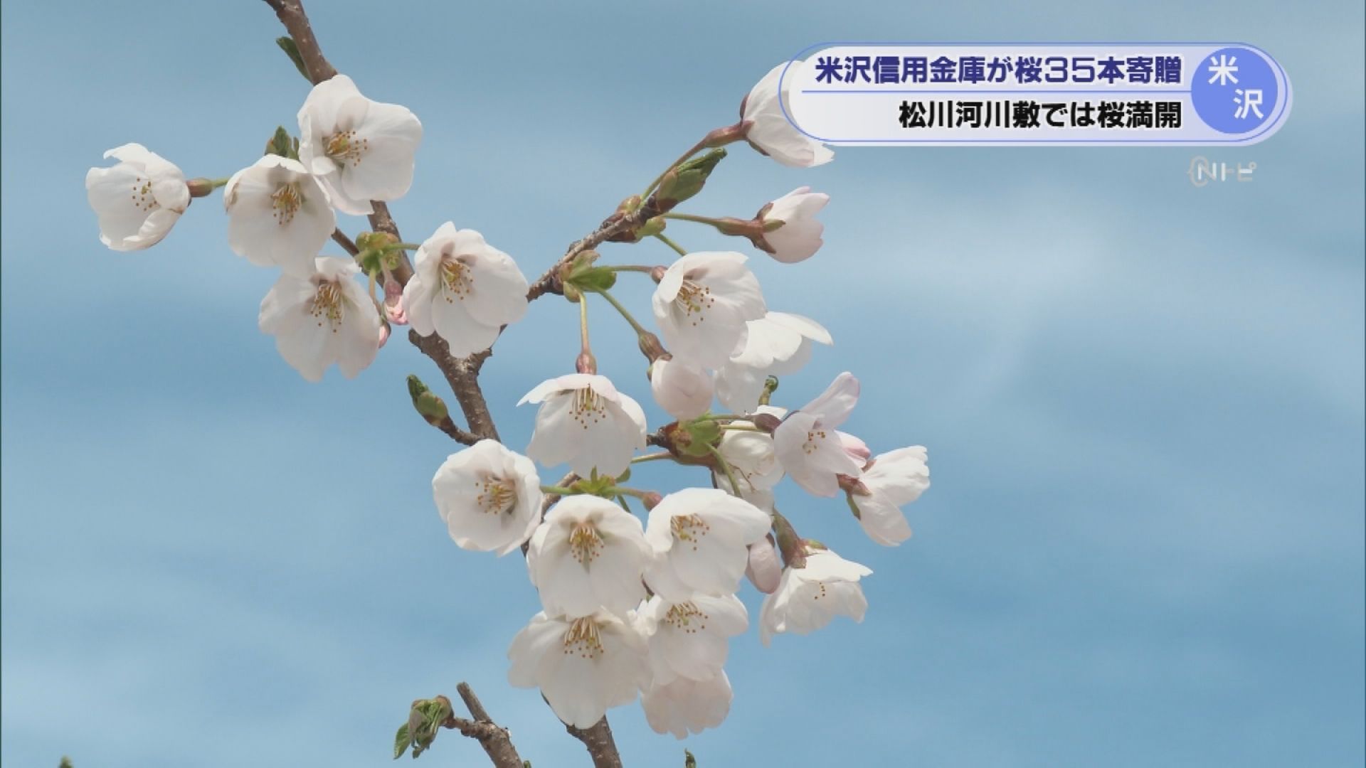 2026年4月13日みんなのNトピ