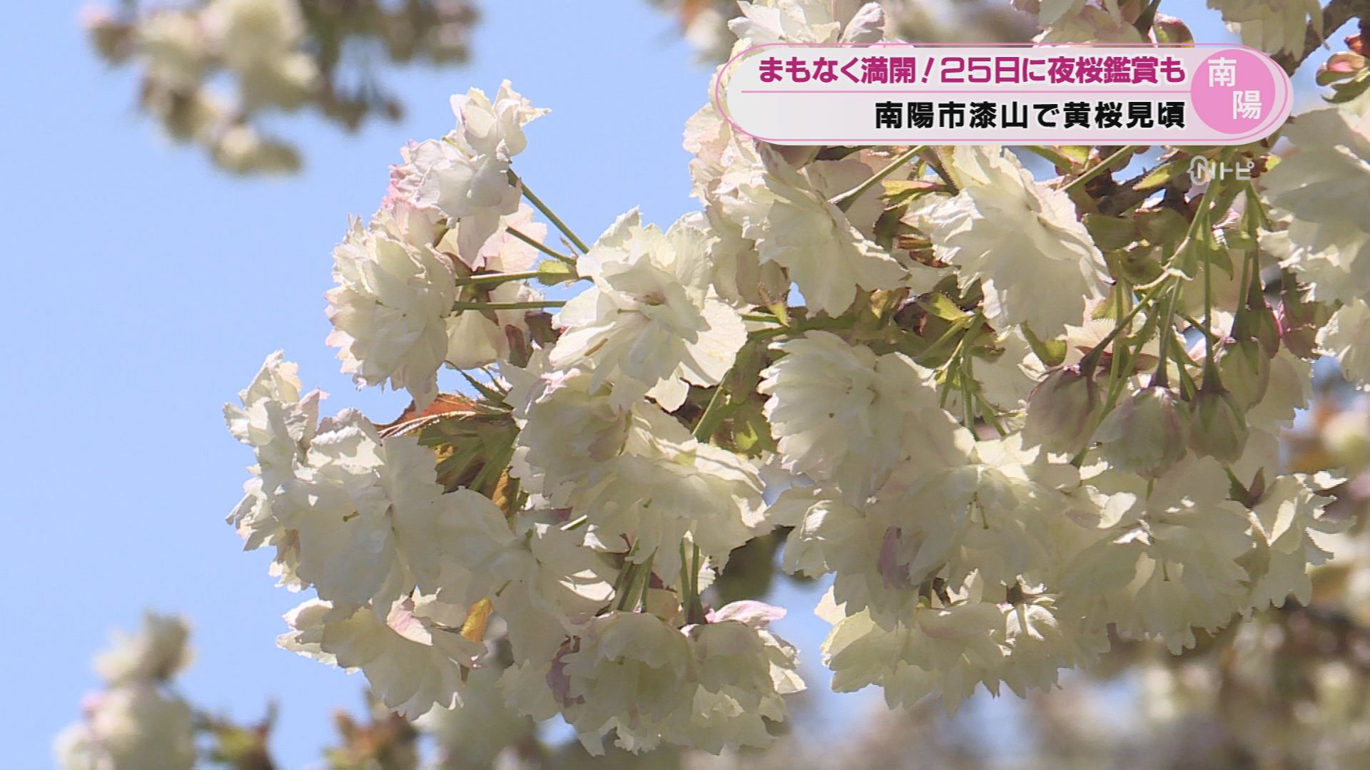 2026年4月22日みんなのNトピ