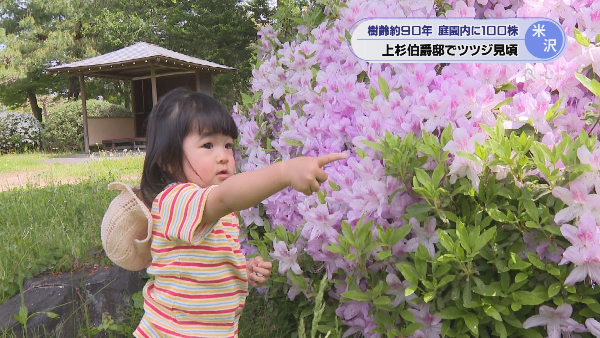 2026年5月12日みんなのNトピ