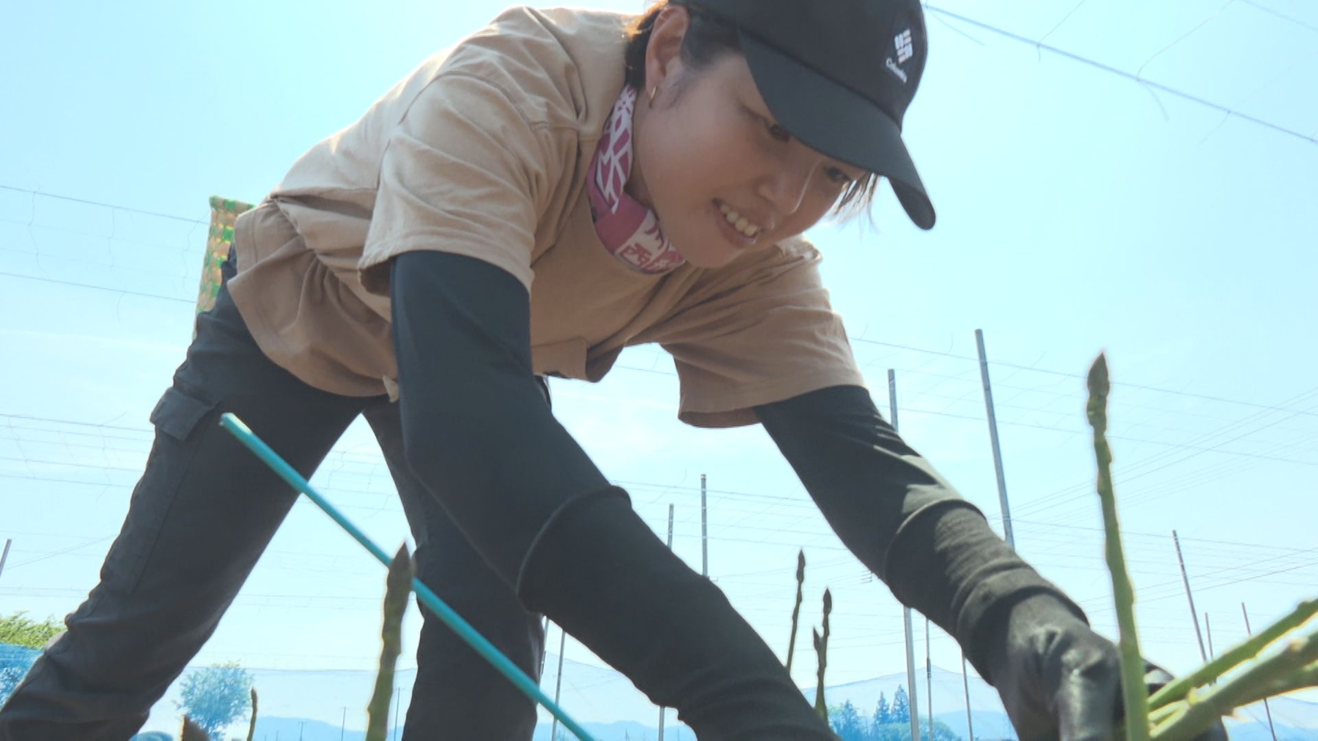 2026年5月14日みんなのNトピ