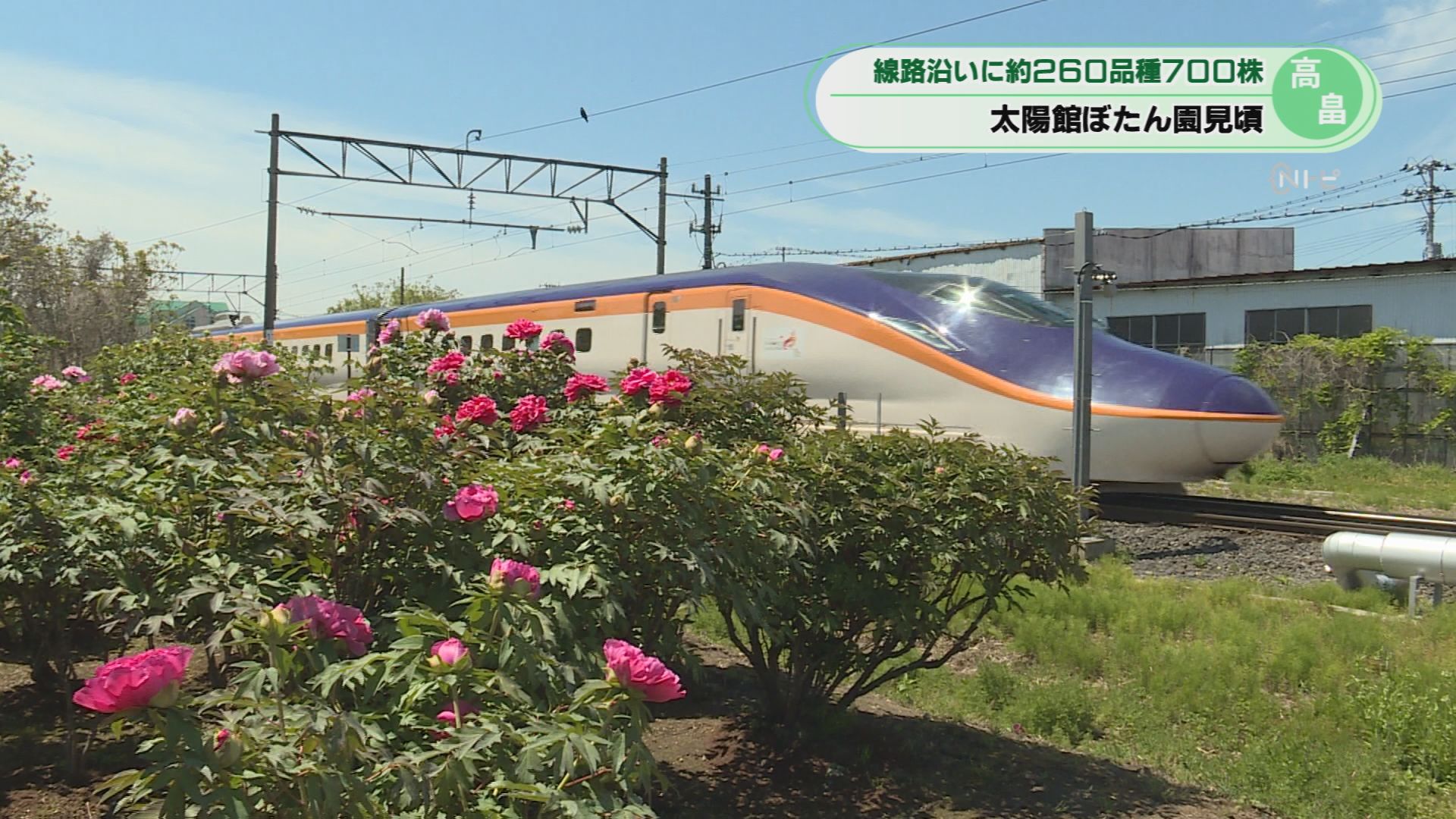 2026年5月6日みんなのNトピ