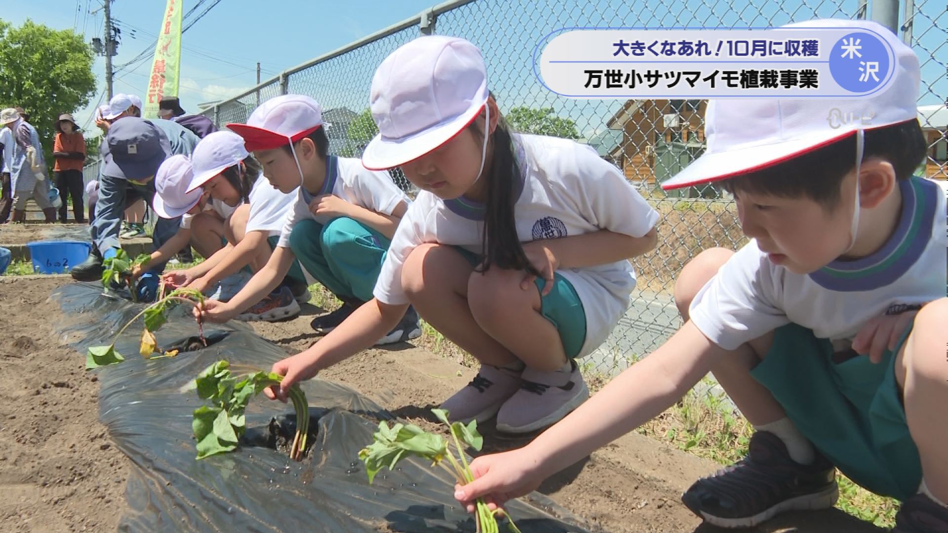 2026年5月27日みんなのNトピ