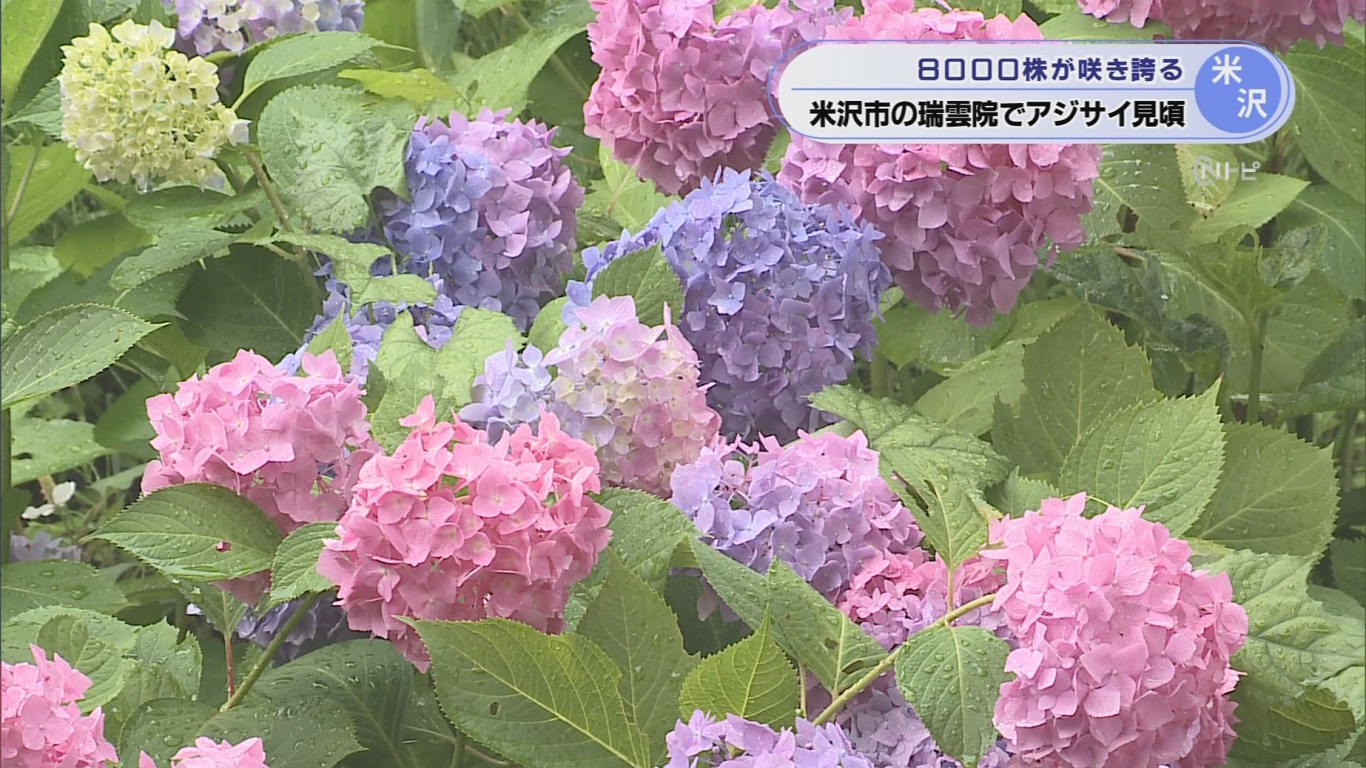 2026年7月2日みんなのNトピ