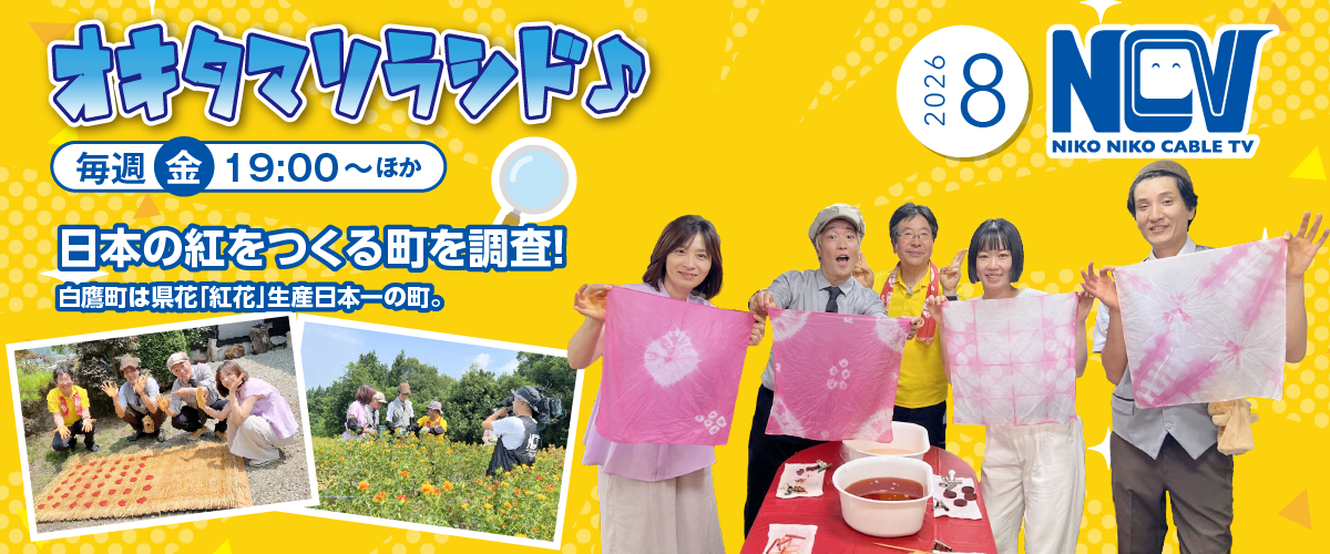 NCVチャンネル