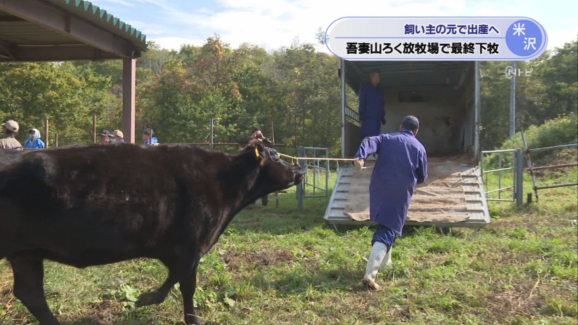 2026年10月21日みんなのNトピ