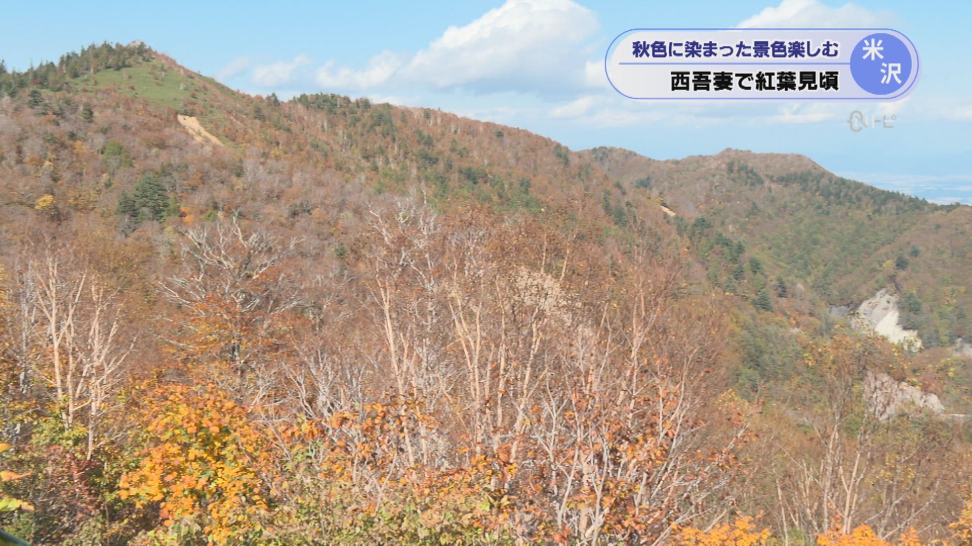 2026年10月16日みんなのNトピ